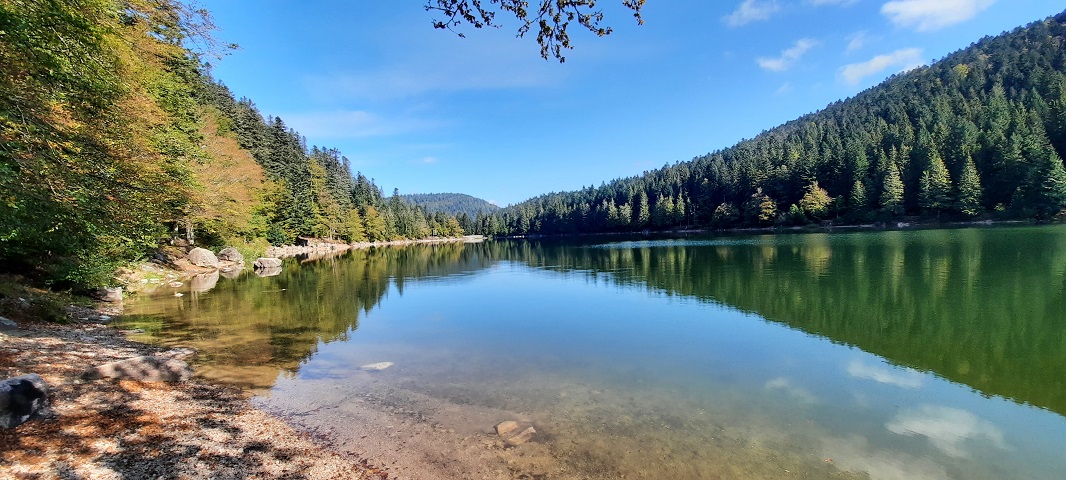 Im Herbst 2020 (4)